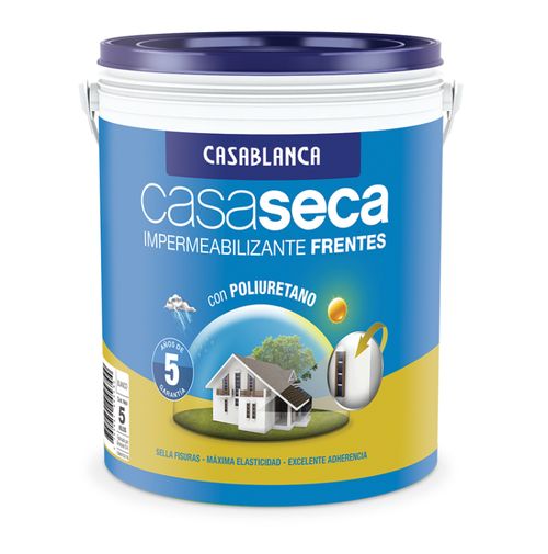 Latex Frentes Casaseca Poliuretano Satinado 25k Blanco