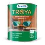 Barniz-Sintetico-Brill-050L-Tersuave