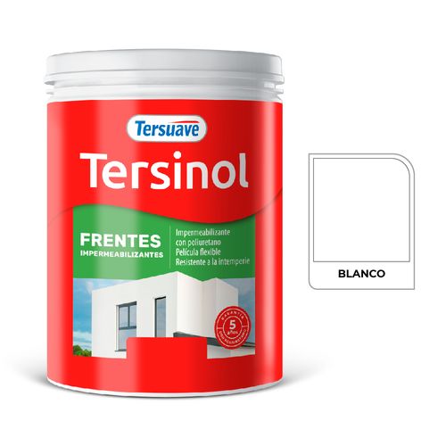 Latex Tersinol Frentes 12,5Kg Tersuave