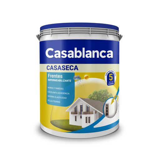 Latex Frentes Casaseca Poliuretano Satinado 5K Blanco