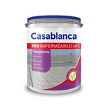 Casablanca-Pro-Tapagoteras-4Lt